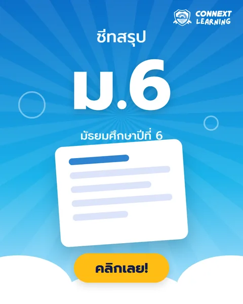 ชีทสรุป ม.6